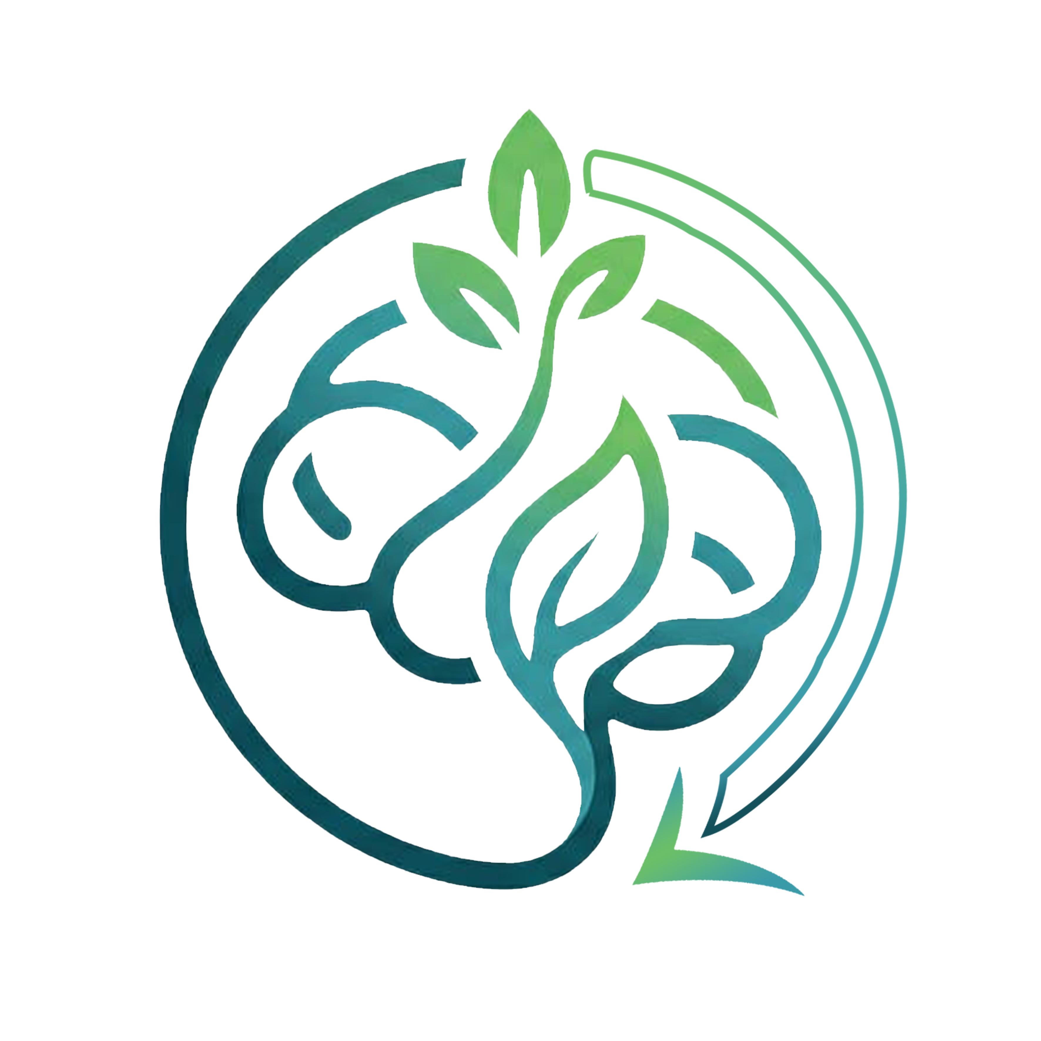 IROBII